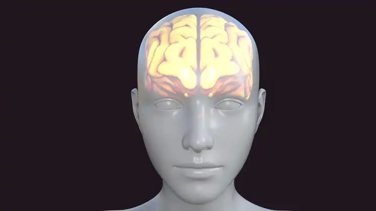 Il cervello continua a funzionare anche dopo la morte