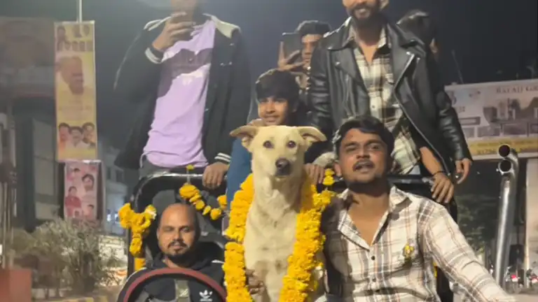 Organizzano una festa per un cane randagio il video diventa virale