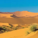 Civiltà sconosciute scoperte nel deserto del Namib