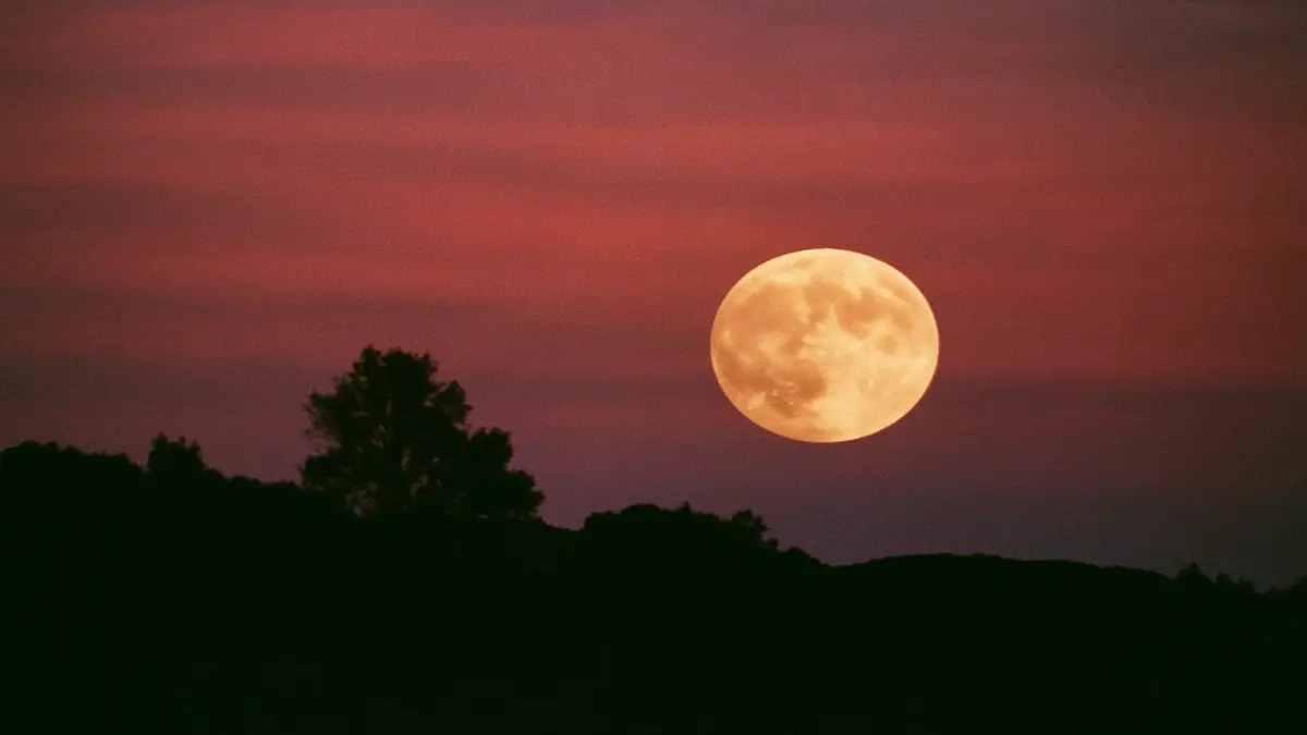 luna-rosa-discover