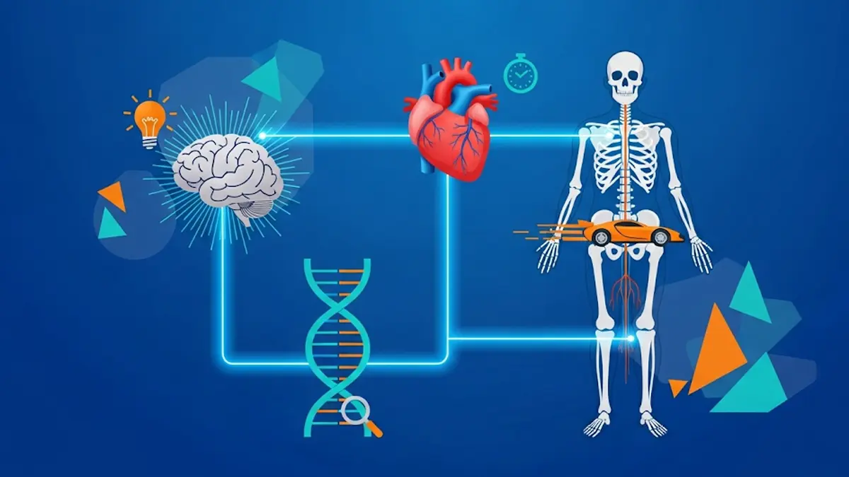 Infografica colorata e stilizzata che mostra diverse parti del corpo umano
