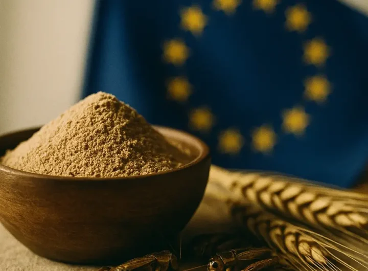 Bandiera Unione Europea accanto a un grillo e una ciotola di farina di grillo