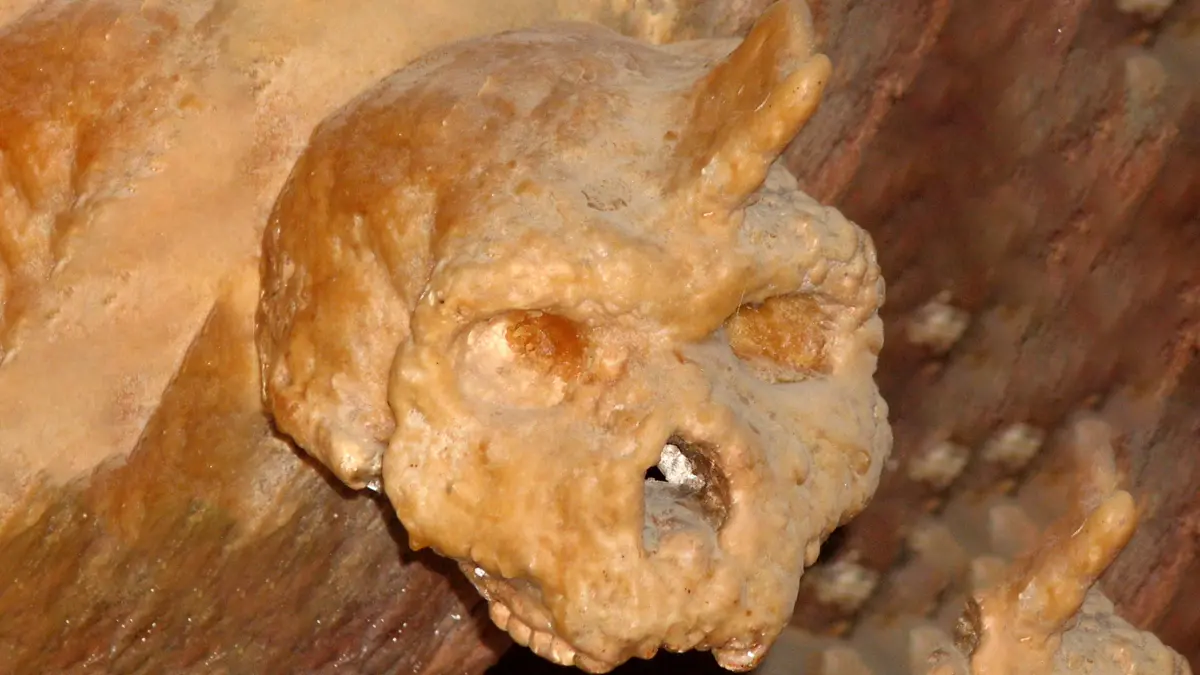 Scopri la storia del teschio di Petralona