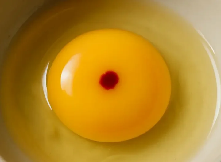 Macchia rosso scuro su tuorlo