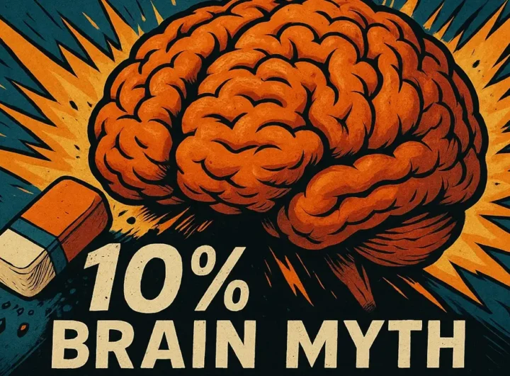 Mito 10 per cento Cervello Usato