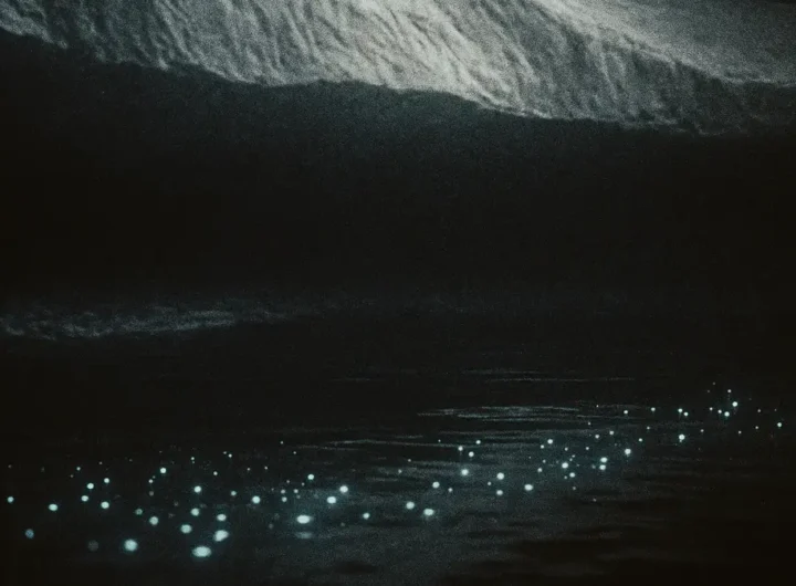 Primo piano del lago Vostok subglaciale con carota di ghiaccio