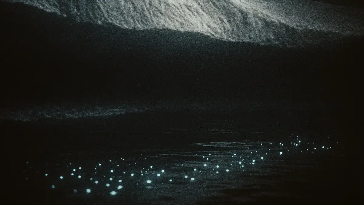 Primo piano del lago Vostok subglaciale con carota di ghiaccio