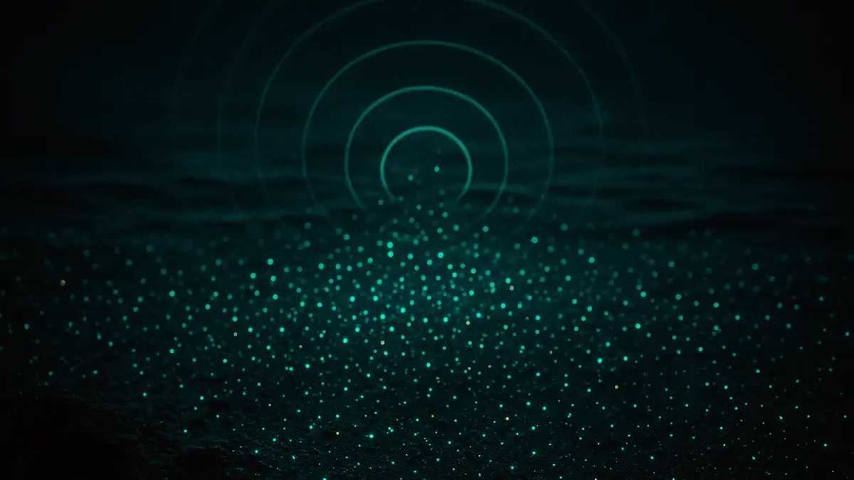 Primo piano di acqua marina scura con particelle iridescenti quasi invisibili