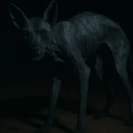 Primo piano di un coyote affetto da rogna