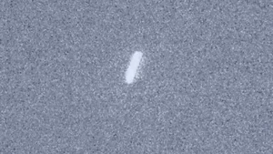Rover Perseverance su Marte fotografa la cometa interstellare