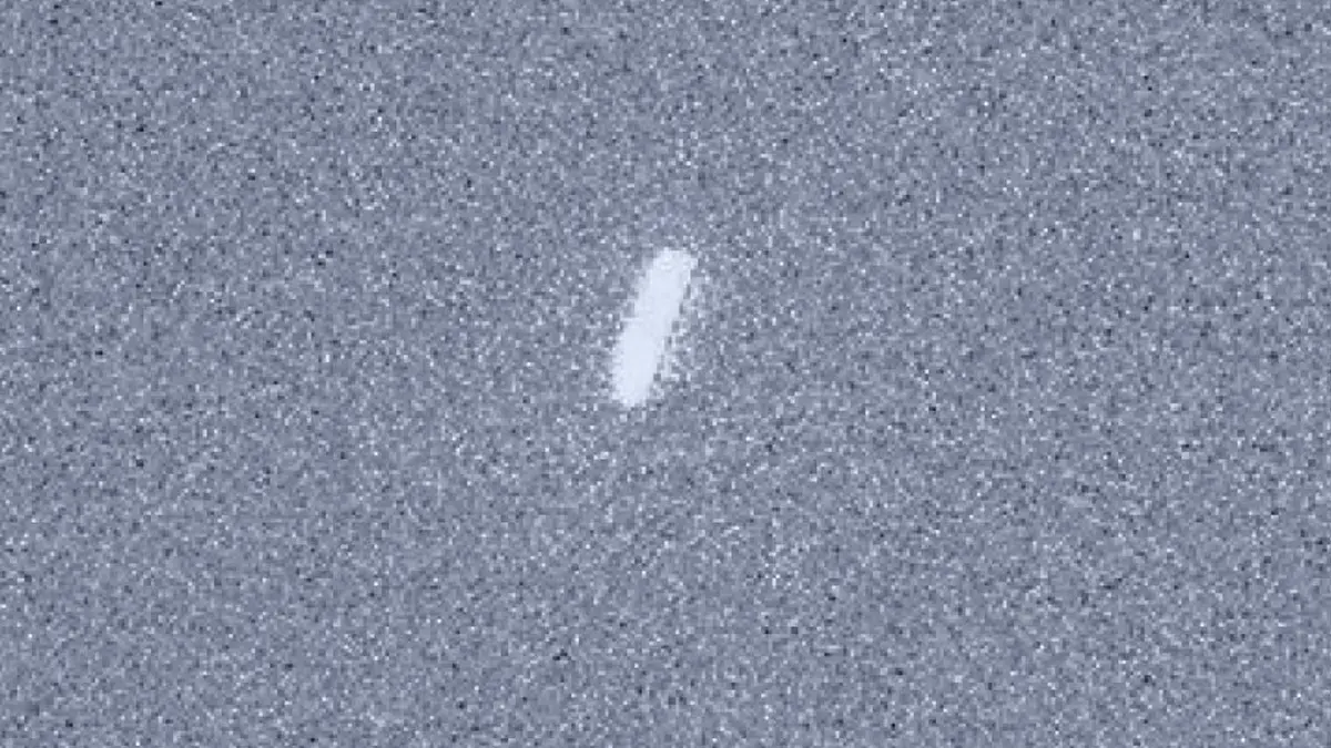 Rover Perseverance su Marte fotografa la cometa interstellare