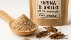 farina di grillo in polvere su cucchiaio di legno