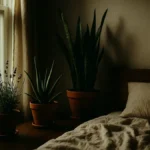 piante-camera-da-letto-dormire-meglio