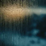 vetri-appannati-condensa-rimedi-muffa