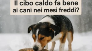 cibo-caldo-cani-inverno