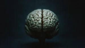 effetto-solitudine-sul-cervello