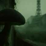 funghi-chernobyl-assorbono-radiazioni