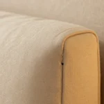 cimici-da-letto-infestazione-europa-cause-rimedi