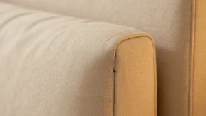 cimici-da-letto-infestazione-europa-cause-rimedi