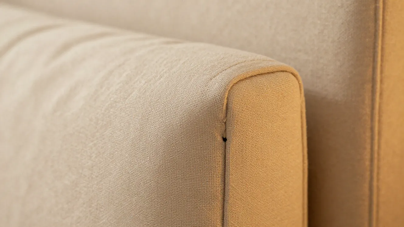 cimici-da-letto-infestazione-europa-cause-rimedi