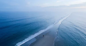 mare-salute-longevita-ricerca-scientifica