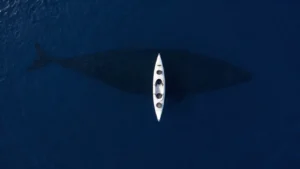 talassofobia-psicologia-terrore-mare-aperto-abisso