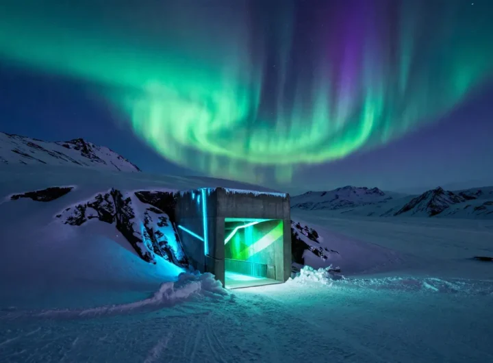 Il bunker che salva il domani