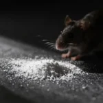 detersivo-in-polvere-contro-topi-scienza-miti