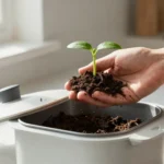 guida-compostaggio-domestico-appartamento-metodi-consigli