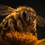 perche-le-api-muoiono-verita-scientifica-collasso-alveari