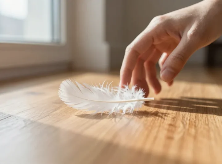 piuma-bianca-in-casa-significato