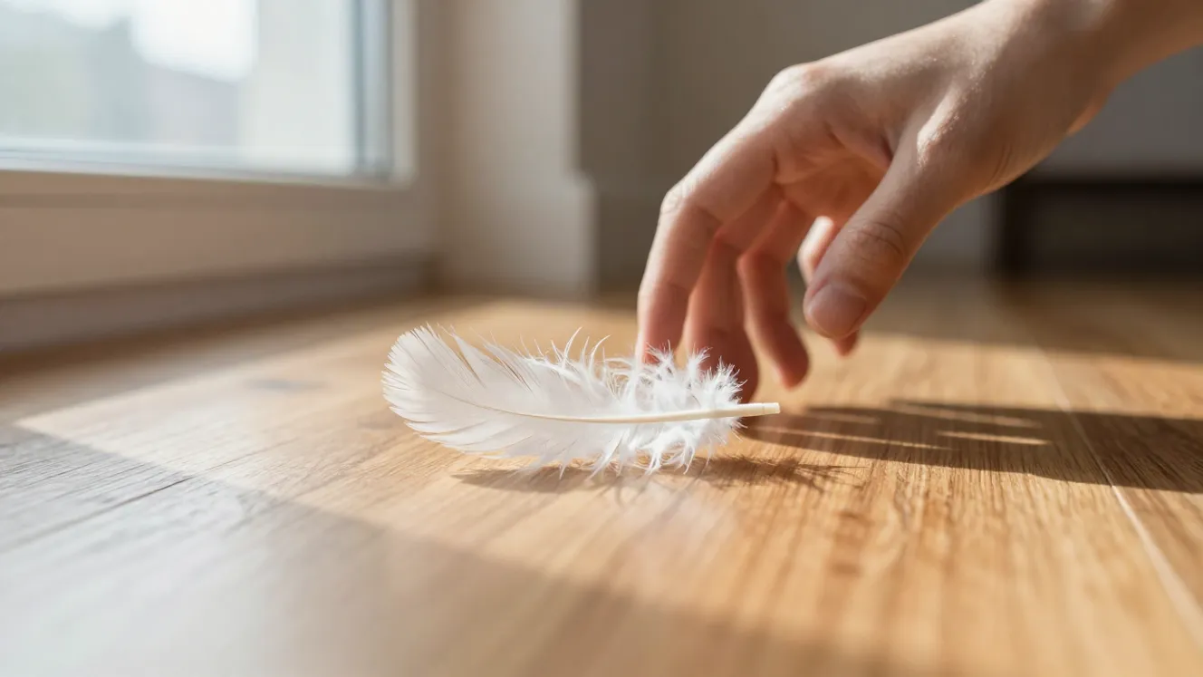 piuma-bianca-in-casa-significato